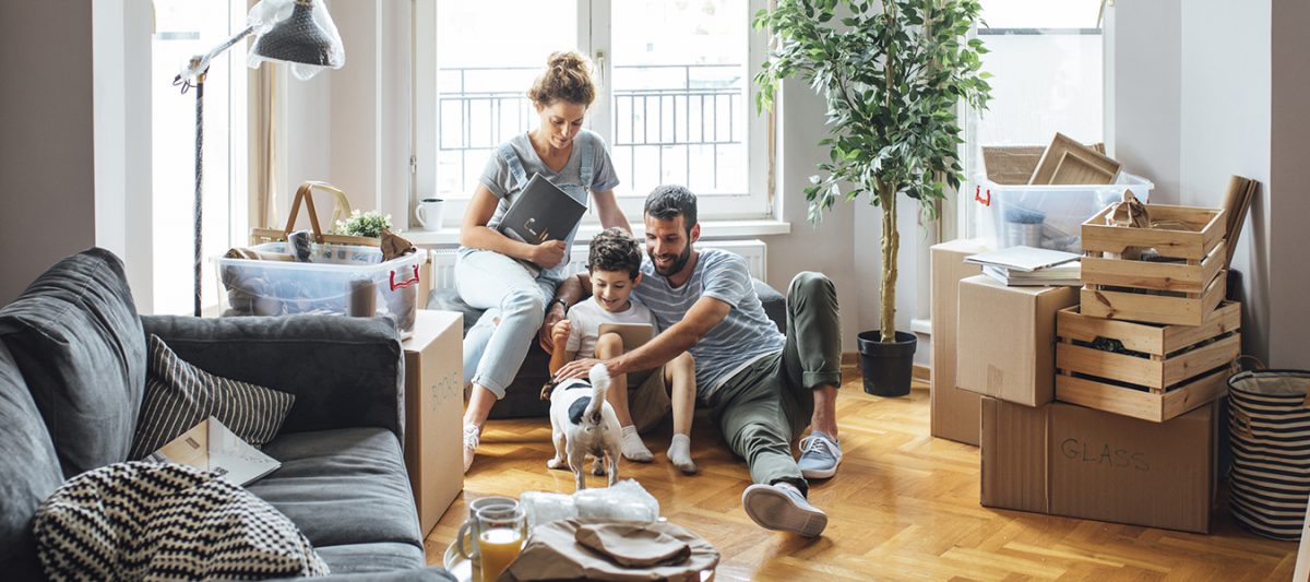 Essential Items You Need for a New House